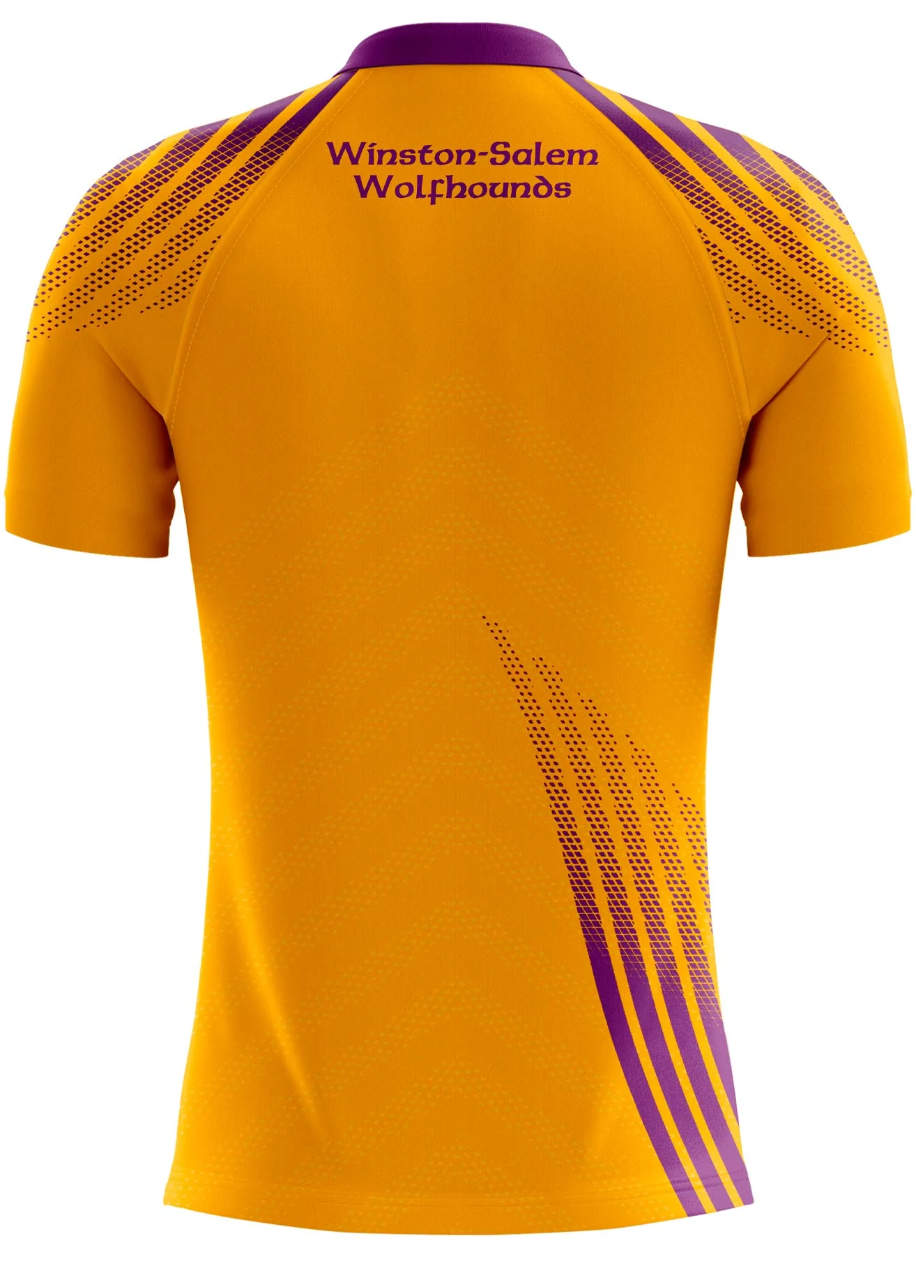 Winston Salem Wolfhounds Goalkeeper Jersey Kids - Image 2